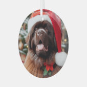 Brawn Newfundland Hunde Weihnachtsmannmütze Orname Ornament Aus Glas (Vorderseite links)