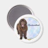 Brawn Newfundland Portrait - Magnet (Vorderseite/Rückseite)