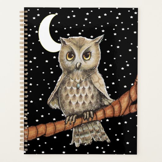Brawn Owl Hübsch Eyes Blue Necklack Moon Stars Planer (Vorderseite)