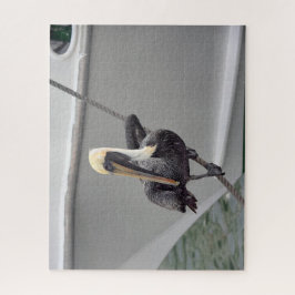 Brawn Pelican Balancing on a Rope, Florida Puzzle