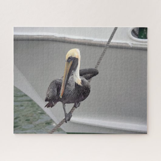 Brawn Pelican Balancing on a Rope, Florida Puzzle (Horizontal)