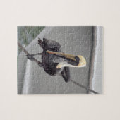 Brawn Pelican Balancing on a Rope, Florida Puzzle (Horizontal)