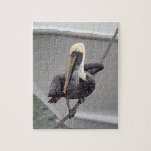 Brawn Pelican Balancing on a Rope, Florida Puzzle