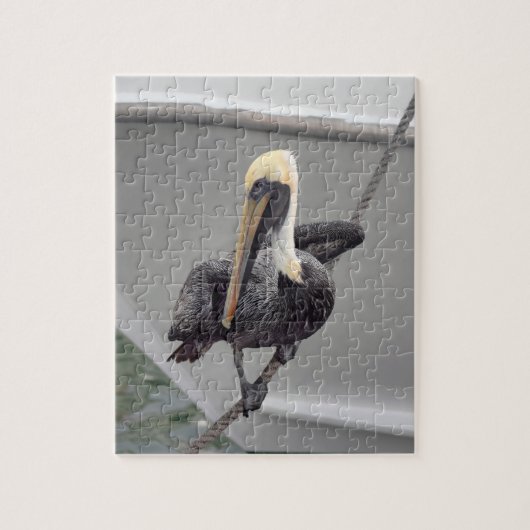 Brawn Pelican Balancing on a Rope, Florida Puzzle (Vertikal)