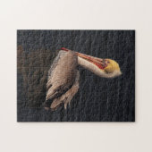 Brawn Pelican Bird Wildlife Animals Ocean Puzzle (Horizontal)