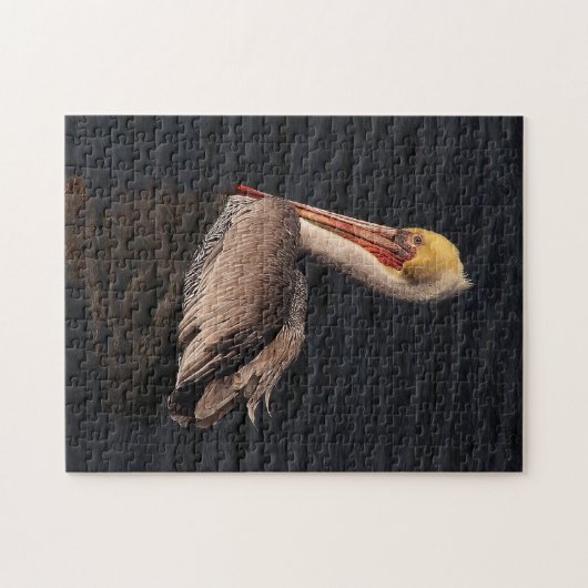 Brawn Pelican Bird Wildlife Animals Ocean Puzzle (Horizontal)