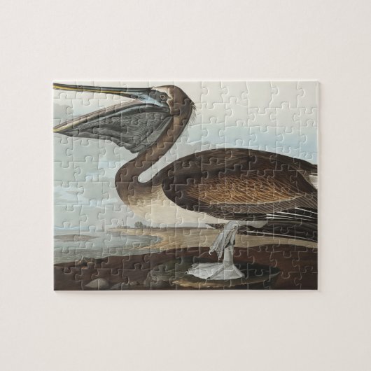 Brawn Pelican from Birds America Puzzle (Horizontal)