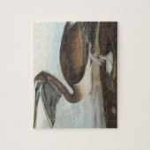 Brawn Pelican from Birds America Puzzle (Vertikal)