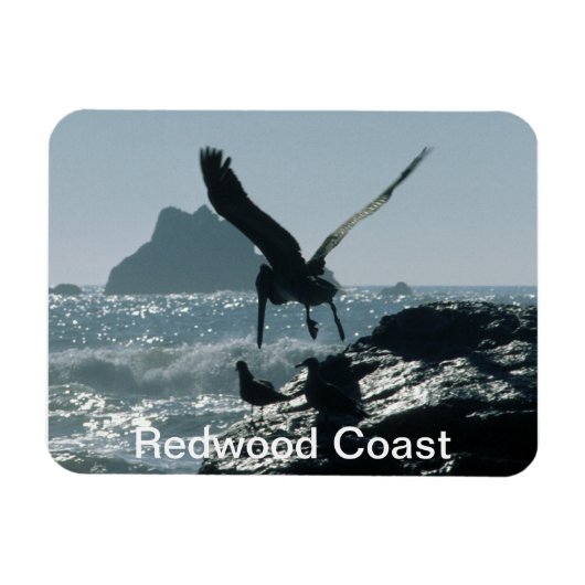 Brawn Pelican Redwood Coast Magnet (Horizontal)