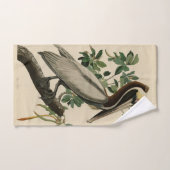 Brawn Pelican von Audubons Vögeln von Amerika Badhandtuch Set (Handtuch)