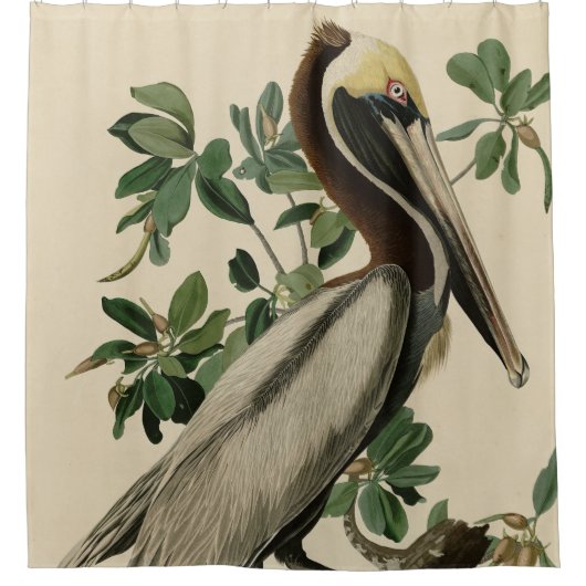 Brawn Pelican von Audubons Vögeln von Amerika Duschvorhang (Vorderseite)