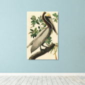 Brawn Pelican von Audubons Vögeln von Amerika Leinwanddruck (Insitu (Holzboden))