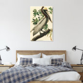 Brawn Pelican von Audubons Vögeln von Amerika Leinwanddruck (Insitu (Schlafzimmer))