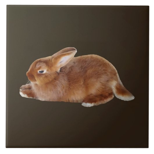 Brawn Rabbit Fliese (Vorderseite)