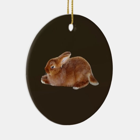 Brawn Rabbit Keramik Ornament (Rechts)