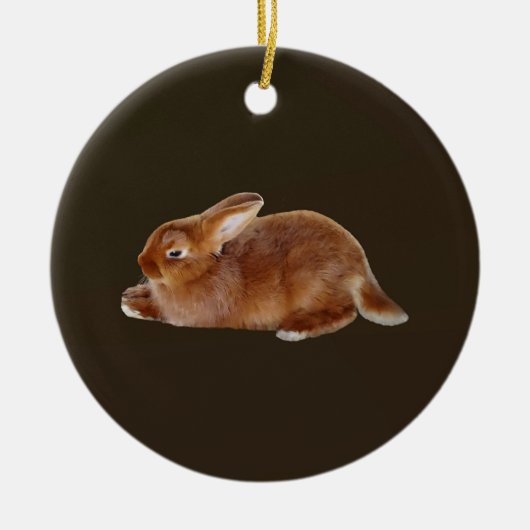 Brawn Rabbit Keramik Ornament (Vorne)