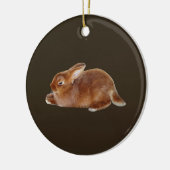 Brawn Rabbit Keramik Ornament (Links)