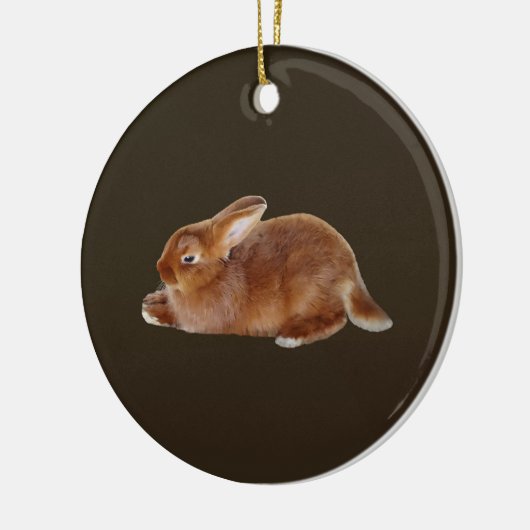 Brawn Rabbit Keramik Ornament (Links)