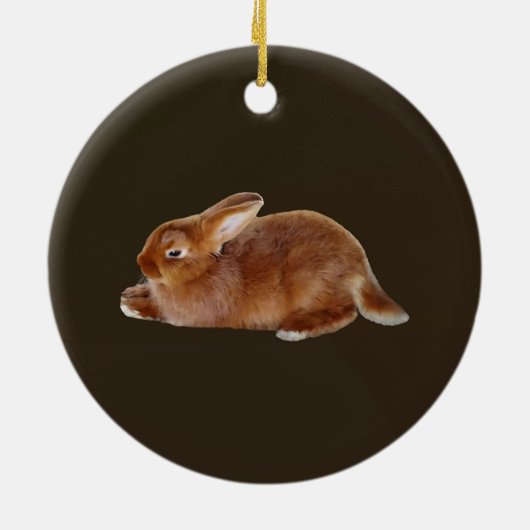 Brawn Rabbit Keramik Ornament (Hinten)
