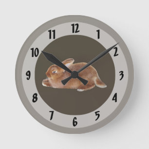 Brawn Rabbit Runde Wanduhr