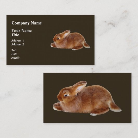 Brawn Rabbit Visitenkarte (Vorne/Hinten)