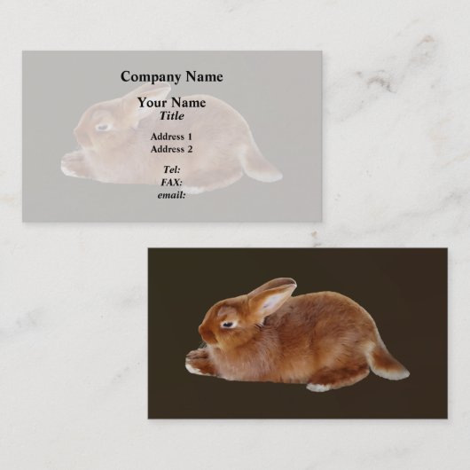 Brawn Rabbit Visitenkarte (Vorne/Hinten)