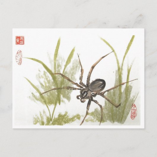Brawn Recluse Spider on White Postkarte (Vorderseite)