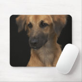 Brawn Resourhund mit schwarzer Nase auf schwarz Mousepad (Mit Mouse)