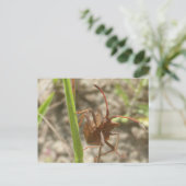 Brawn Shield Bug Nah Up DIY Postkarte (Stehend Vorderseite)