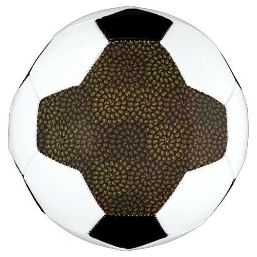 Brawn Spiral Lion Heads Muster, Fußball (Vorderseite)