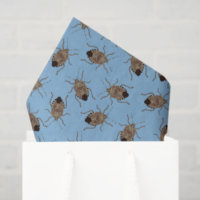 Brawn Stink Bugs on Light Blue Gemustert