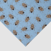 Brawn Stink Bugs on Light Blue Gemustert Seidenpapier (Detail)