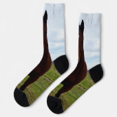 Brawn Tall Gomphy Magnificent Pferd, Crew Socken (Linkes Detail)