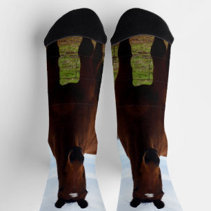 Brawn Tall Gomphy Magnificent Pferd, Crew Socken
