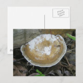 Brawn Tan Bracket Fungus Postkarte (Vorne/Hinten)