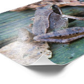 Brawn Wood Frog Fotodruck (Ecke)