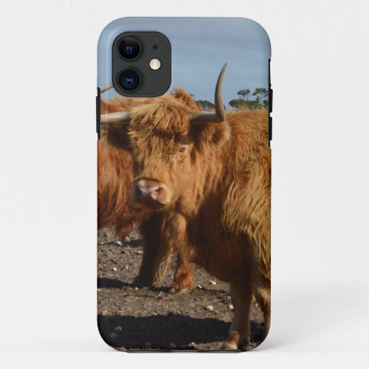 Brawny Beauty: Die majestätische Big Brown Highlan Case-Mate iPhone Hülle (Rückseite)