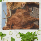 Brawny Beauty: Die majestätische Big Brown Highlan Geschirrtuch (Gefaltet)