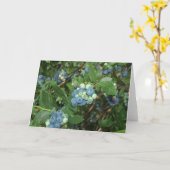 Brays Blueberries Greene Landkreis Indiana Karte (Gelbe Blume)