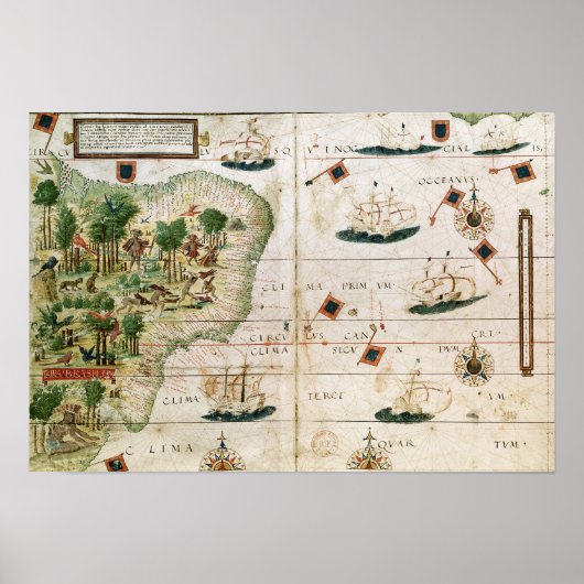 Brazil from the 'Miller Atlas' by Pedro Reinel Poster (Vorne)