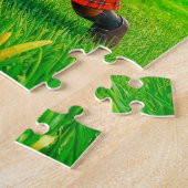 Brazilian açaí bowl versus Scottish shortbread soc Puzzle (Seite)