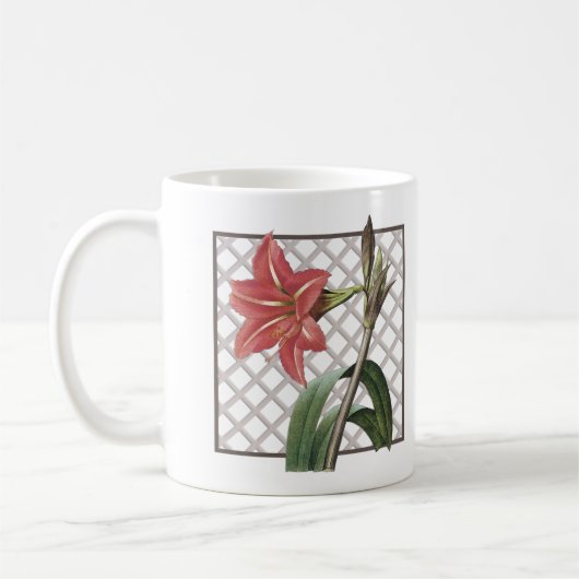 BRAZILIAN AMARYLLIS KAFFEETASSE (Links)