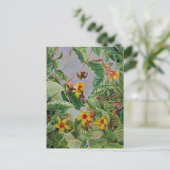 Brazilian Climbing Shrub and Humming Birds, Postkarte (Stehend Vorderseite)