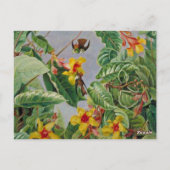 Brazilian Climbing Shrub and Humming Birds, Postkarte (Rückseite)