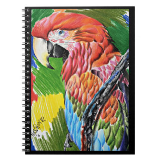 Brazilian Scarlat Macaw - Hand Drawn Wildlife Art Notizblock