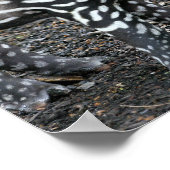 Brazillian Tapir Posters Poster (Ecke)