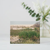 Brazos Staat Park Postkarte (Stehend Vorderseite)