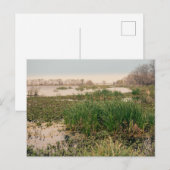 Brazos Staat Park Postkarte (Vorne/Hinten)