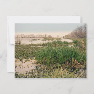Brazos Staat Park Postkarte
