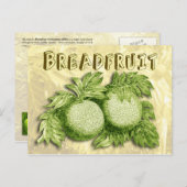 Breadfrucht Postkarte (Vorne/Hinten)